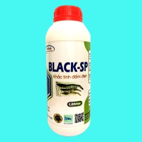 BLACK-SP